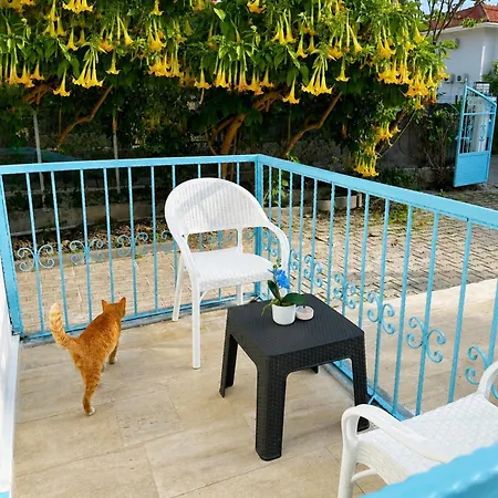 Enjoy Otel Bed & Breakfast Fethiye