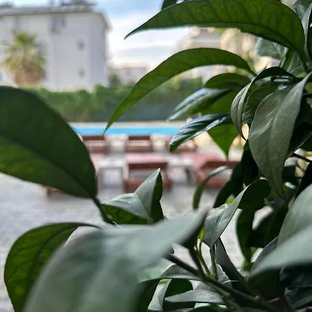 Alojamento de Acomodação e Pequeno-almoço Enjoy 2*